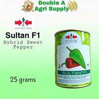 Sultan F1 Hybrid Sweet Pepper - East West Seed