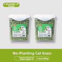 HELLOLEIBOO | Freeze Dried Cat Grass Treats for Hairball Removal High Protein Cat Snacks with Catnip for Cats and Kittens 50g