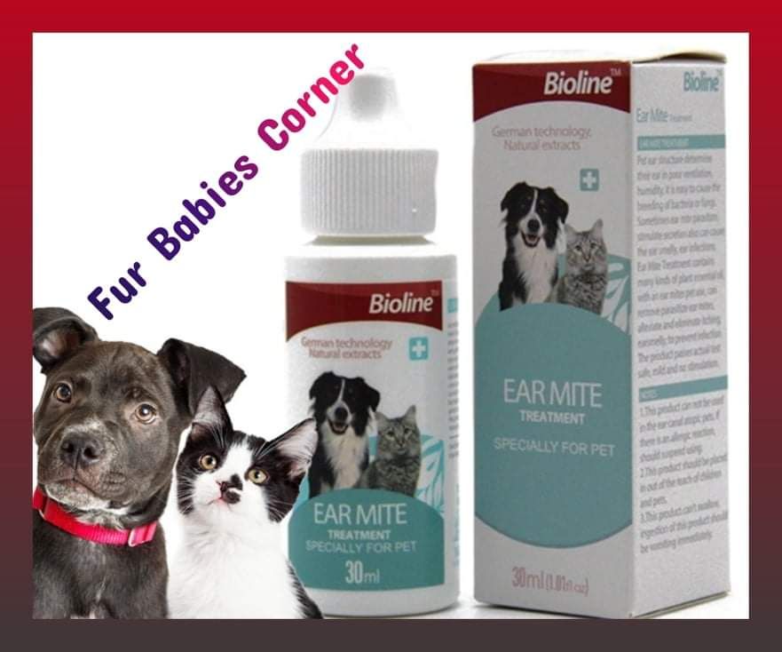 does frontline plus kill ear mites in dogs