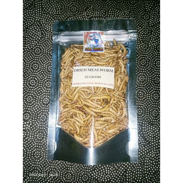 Dried Mealworm Fish Food 25 Grams Lazada PH