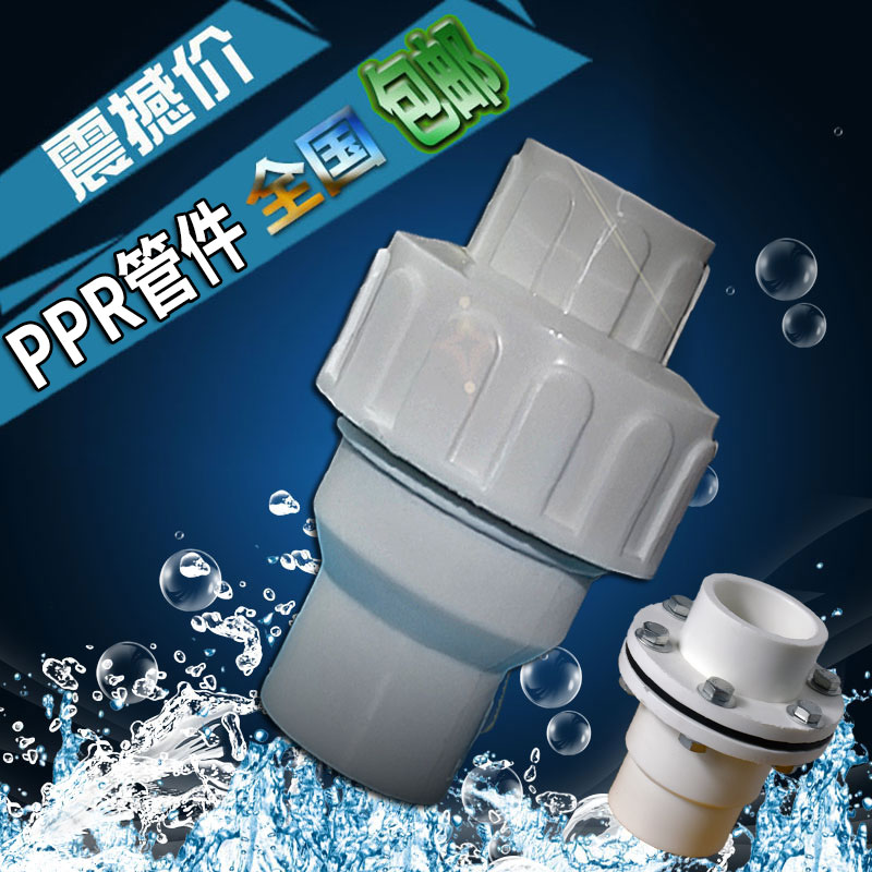 Ppr Check Valve with One-Way Water Inlet - Brand Name