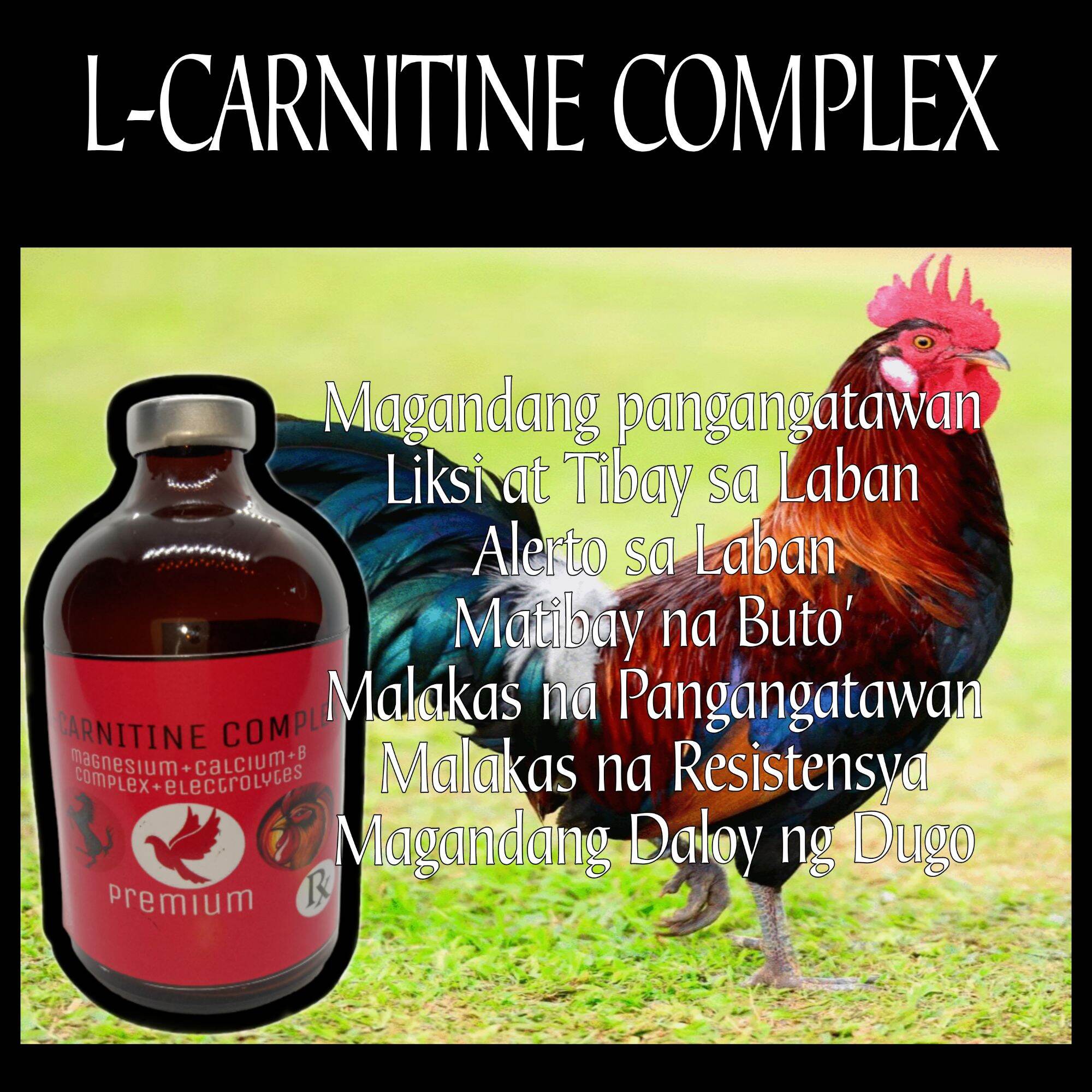 L-Carnitine Complex 100ml/for gamefowls racing pigeons | Lazada PH L-Carnitine Complex 100ml/for gamefowls racing pigeons | Lazada PH
