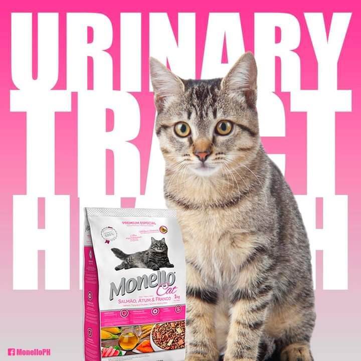 Monello Cat Food Monello Kitten & Adult 1kilo Lazada PH