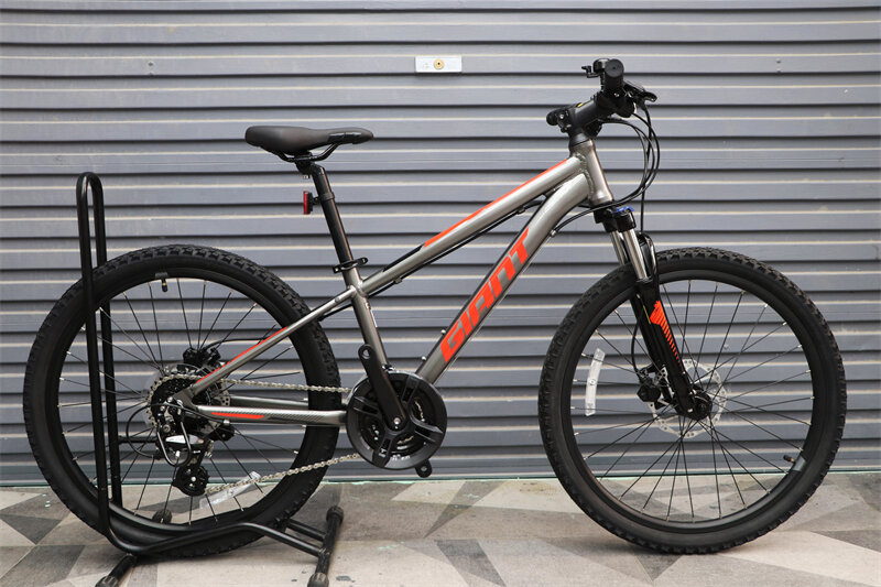 Giant XTC 24-D Youth Mountain Bike