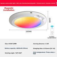 NIOYE | Charging Induction Ceiling Light