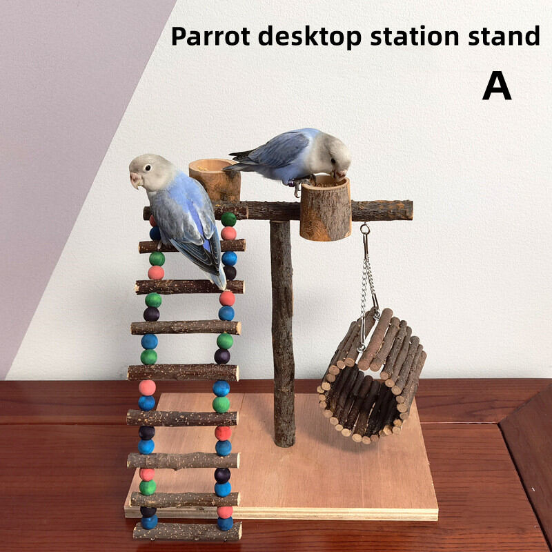 Interactive Parrot Computer Solid Wood Parrot Stand Training Bird Stand Parrot Toys Desktop ...