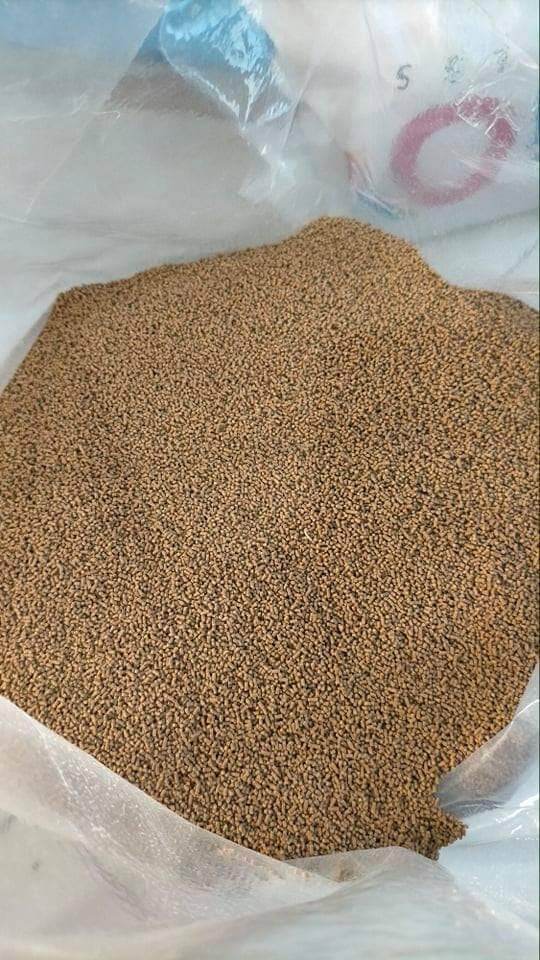 PO2 Fish Food 1kg Lazada PH