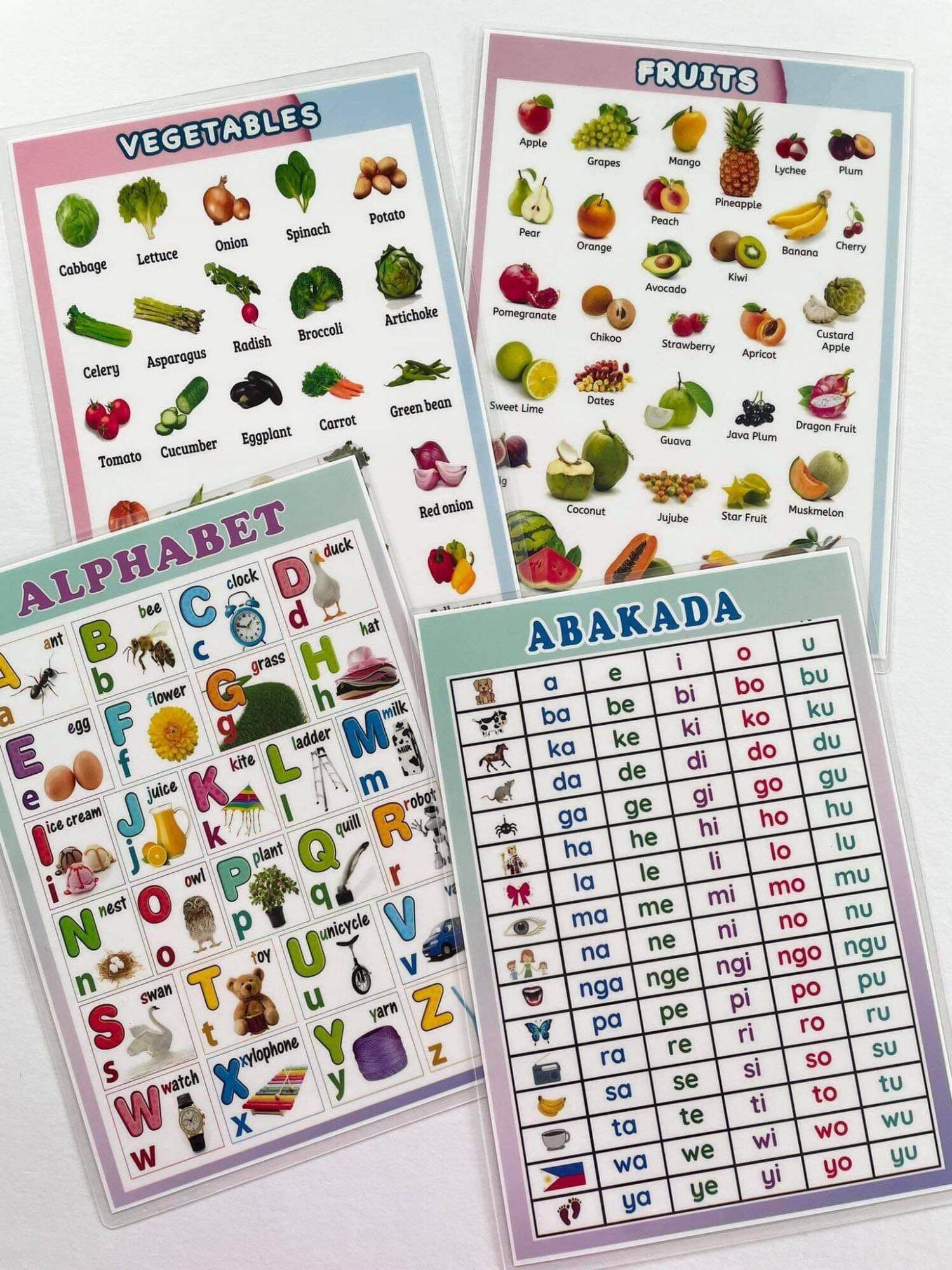 Learning Education Chart (laminated A4 size). 