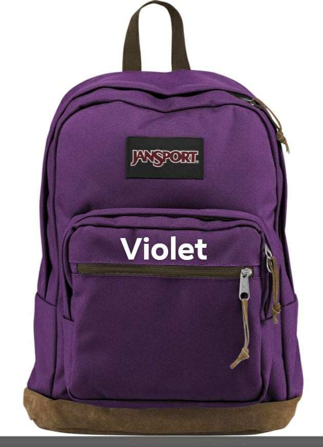 decorated jansport backpack Mini Break sexig color:Holographic The Minibreak features a Driftwood Custom Baits -
