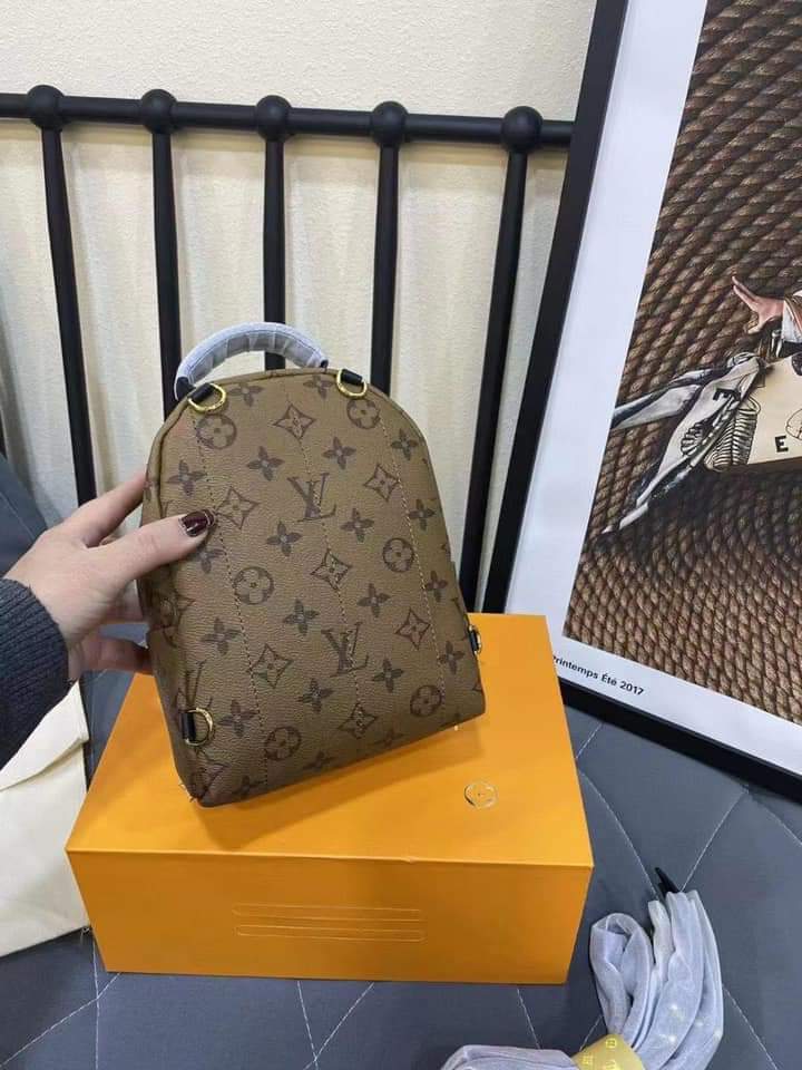 Louis Vuitton Monogram Reverse Mini Palm Spring Backpack Brown ref.733908 -  Joli Closet
