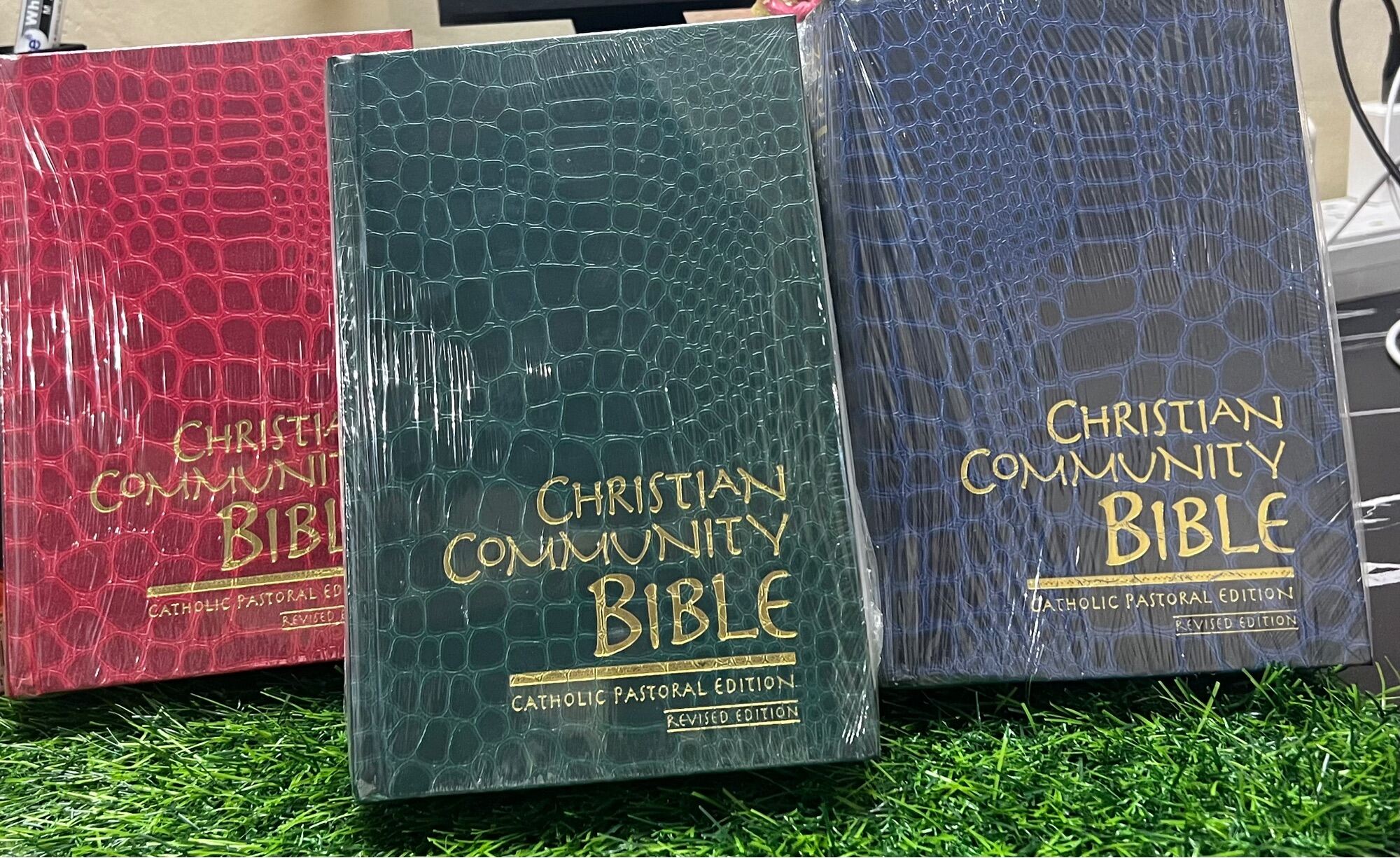 catholic community bible