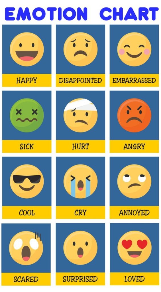 EMOTIONS LAMINATED CHART A4 | Lazada PH