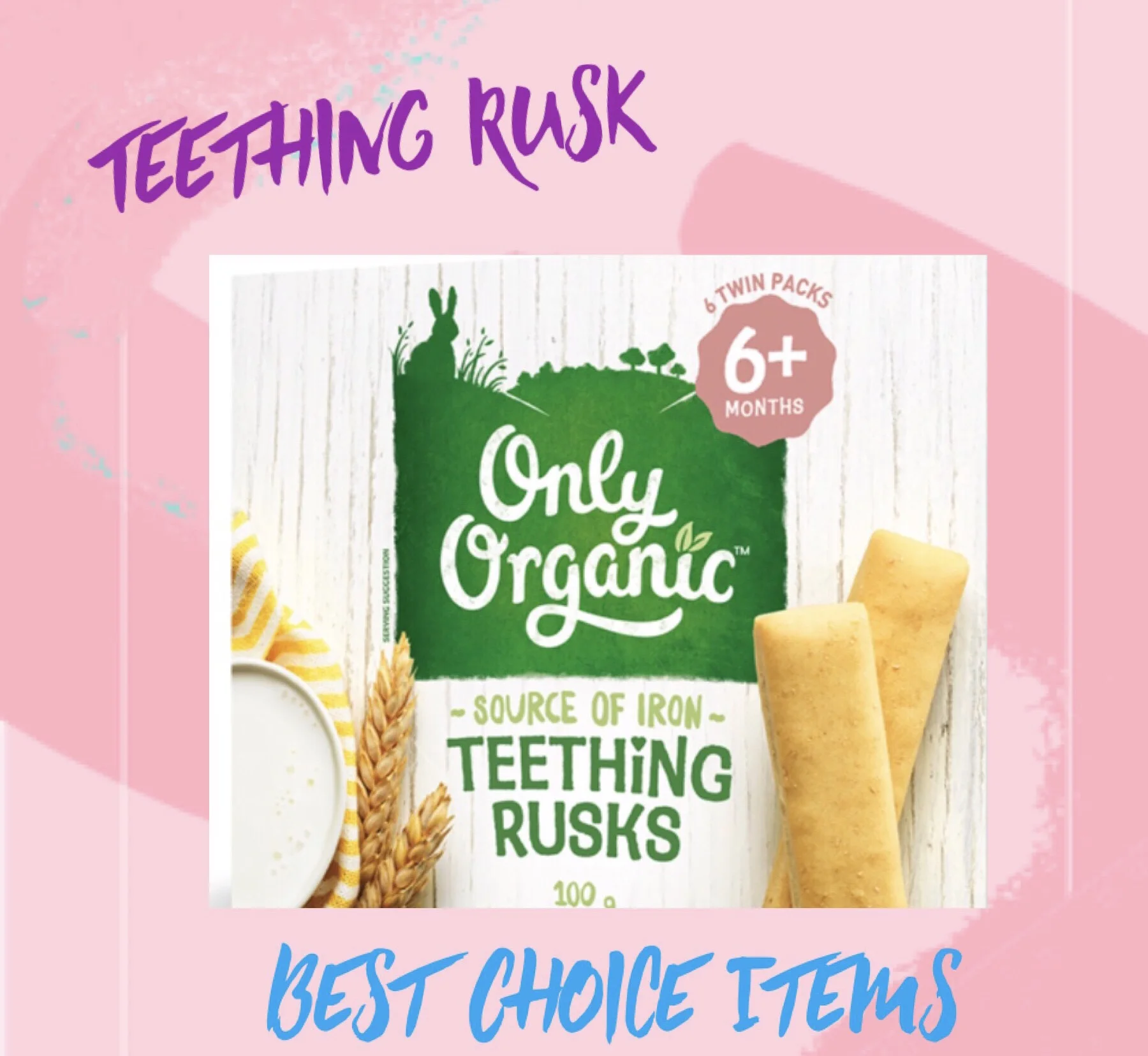 Only Organic Snack Teething Rusks 100g