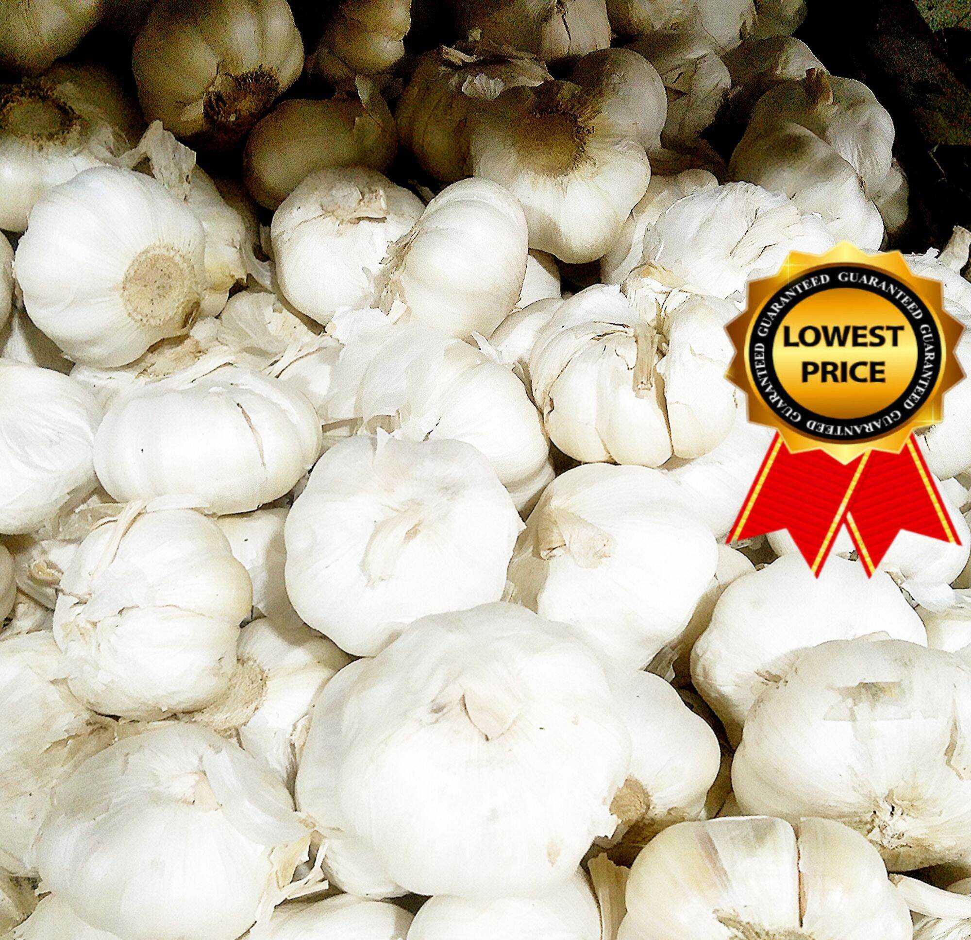 Garlic Kilo Bawang Kilo Lazada PH