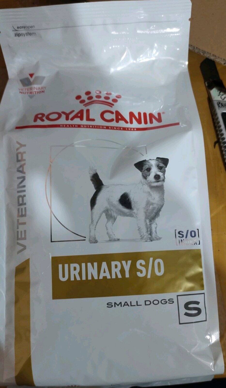 Urinary so outlet cane