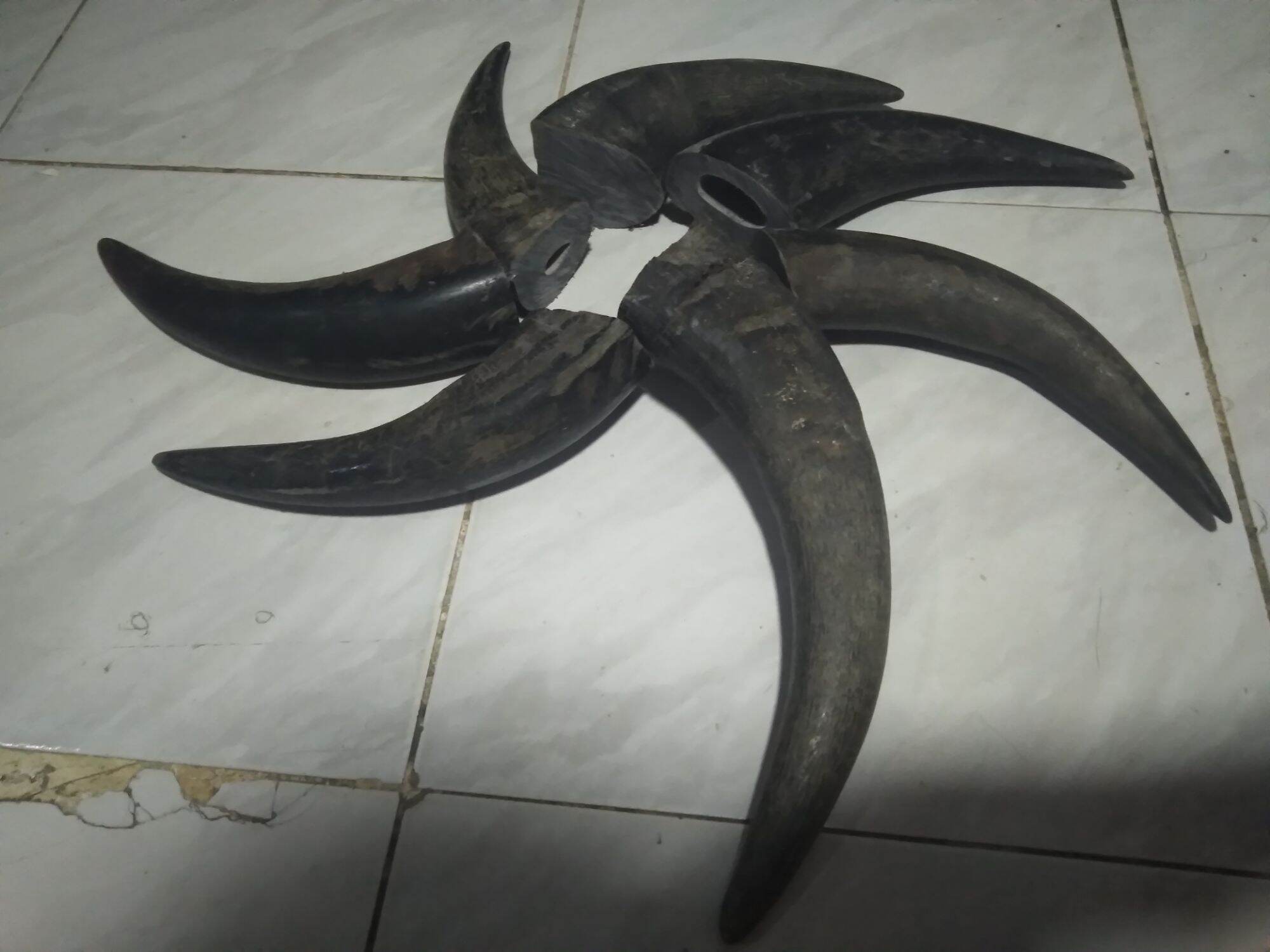 Regular Dog Toys Real Philippine Carabao Horn (Dog Teether/Treats) per