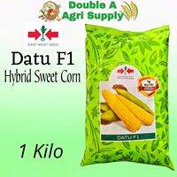 Datu F1 Hybrid Sweet Corn / 1 Kilo - East West Seed