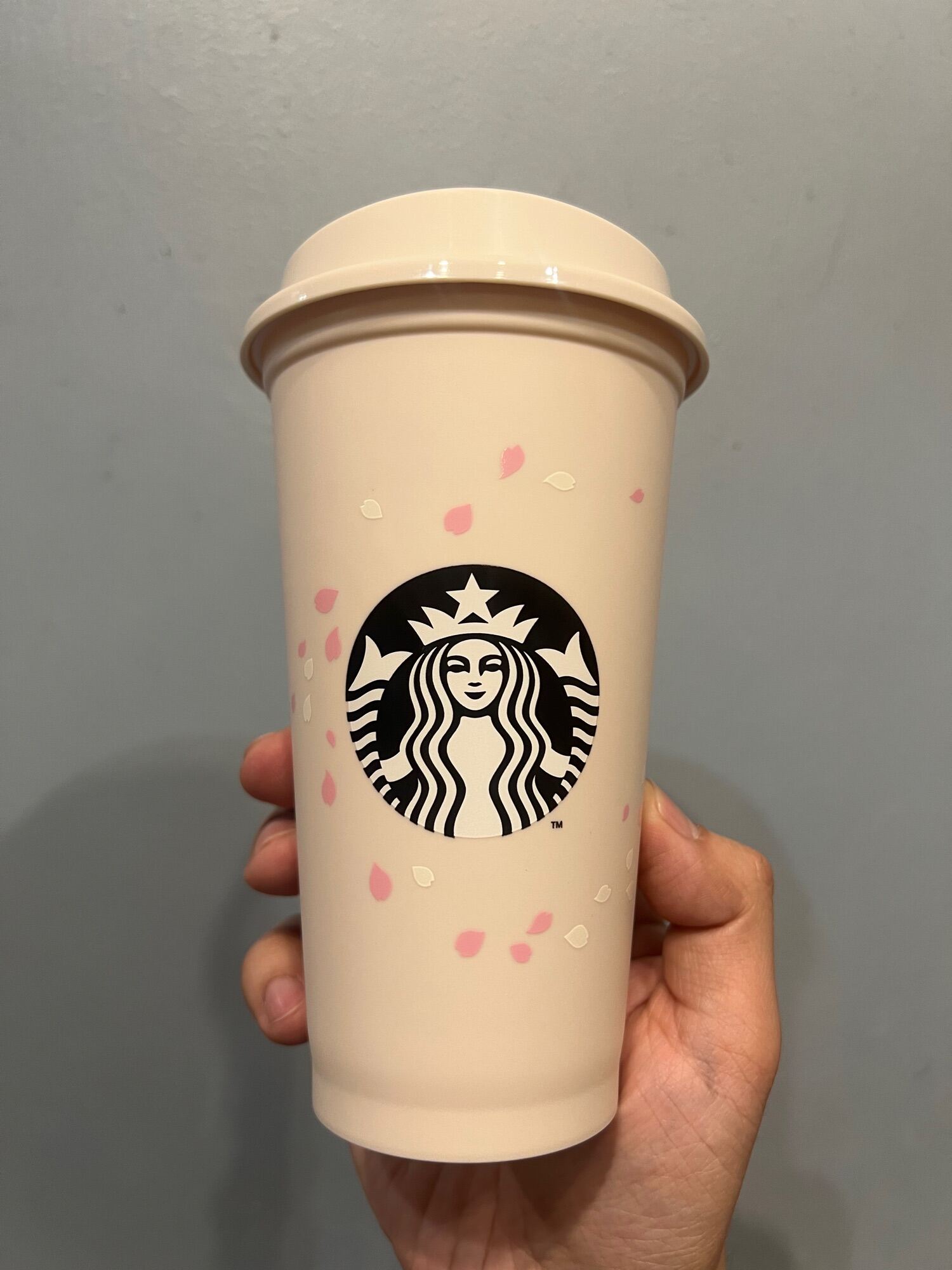Starbucks Tumbler (Starbucks Reusable Cups) Sakura Edition Lazada PH