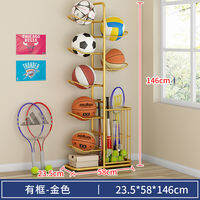SuoErnuo | Home Multi-Use Ball and Toy Organizer