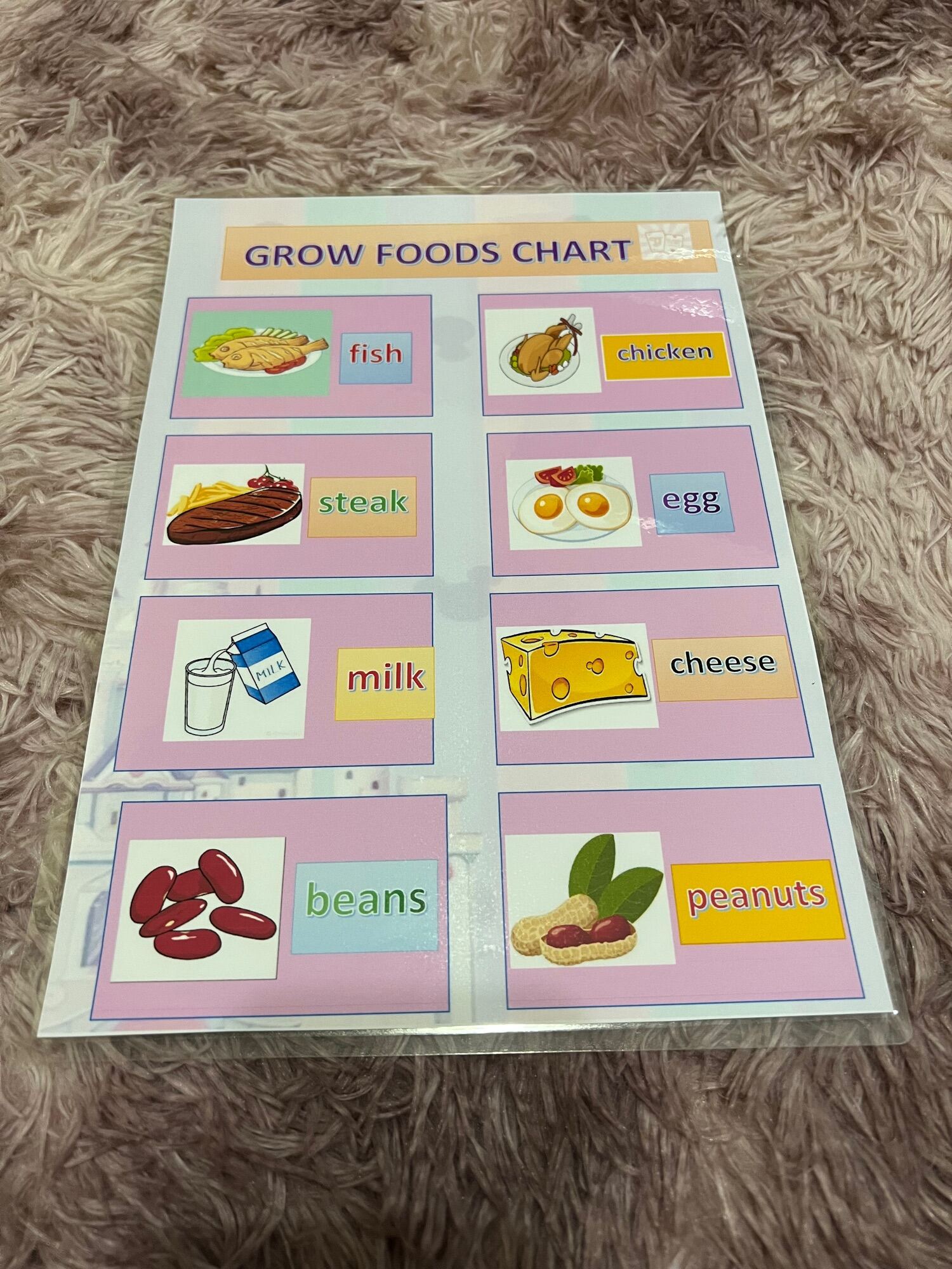 FOOD GROUP CHART For Kids Lazada PH