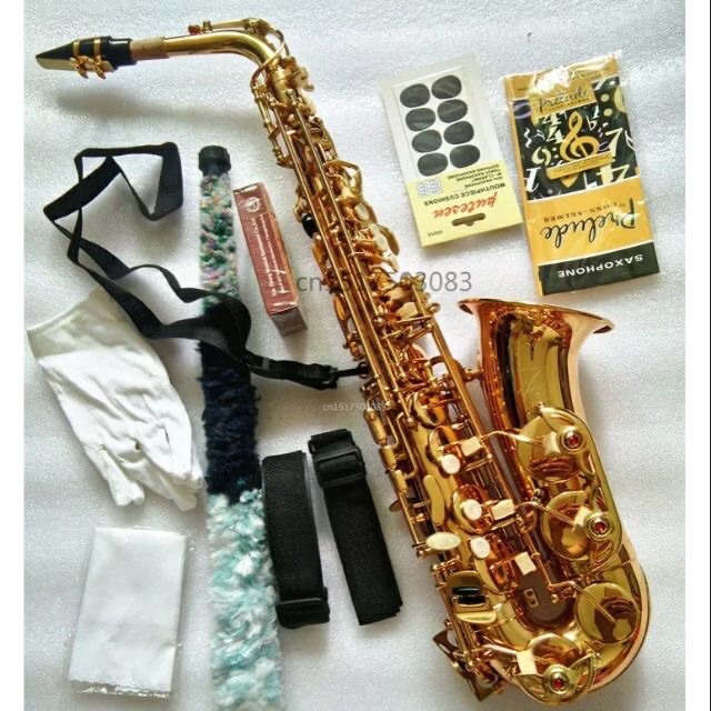 French Selmer 54 E Flat Alto saxophone Top Instrument