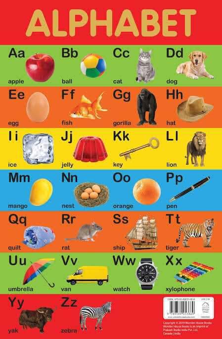 Educational laminated chart for kids | Lazada PH