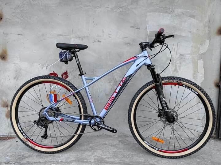 Betta best sale bike 29er