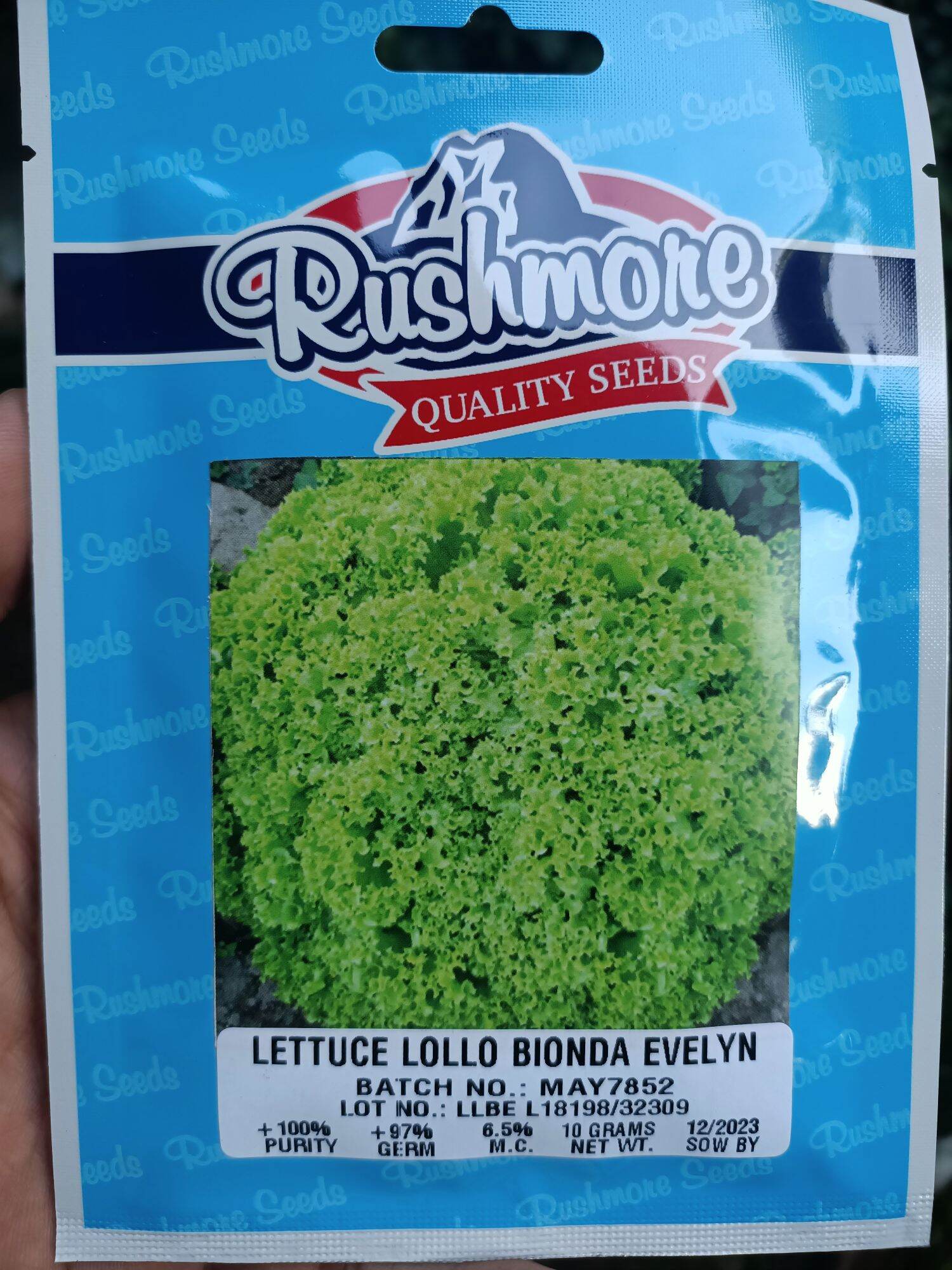 Rushmore Lettuce Lollo Bionda Evelyn 10 grams(10,000 seeds) | Lazada PH