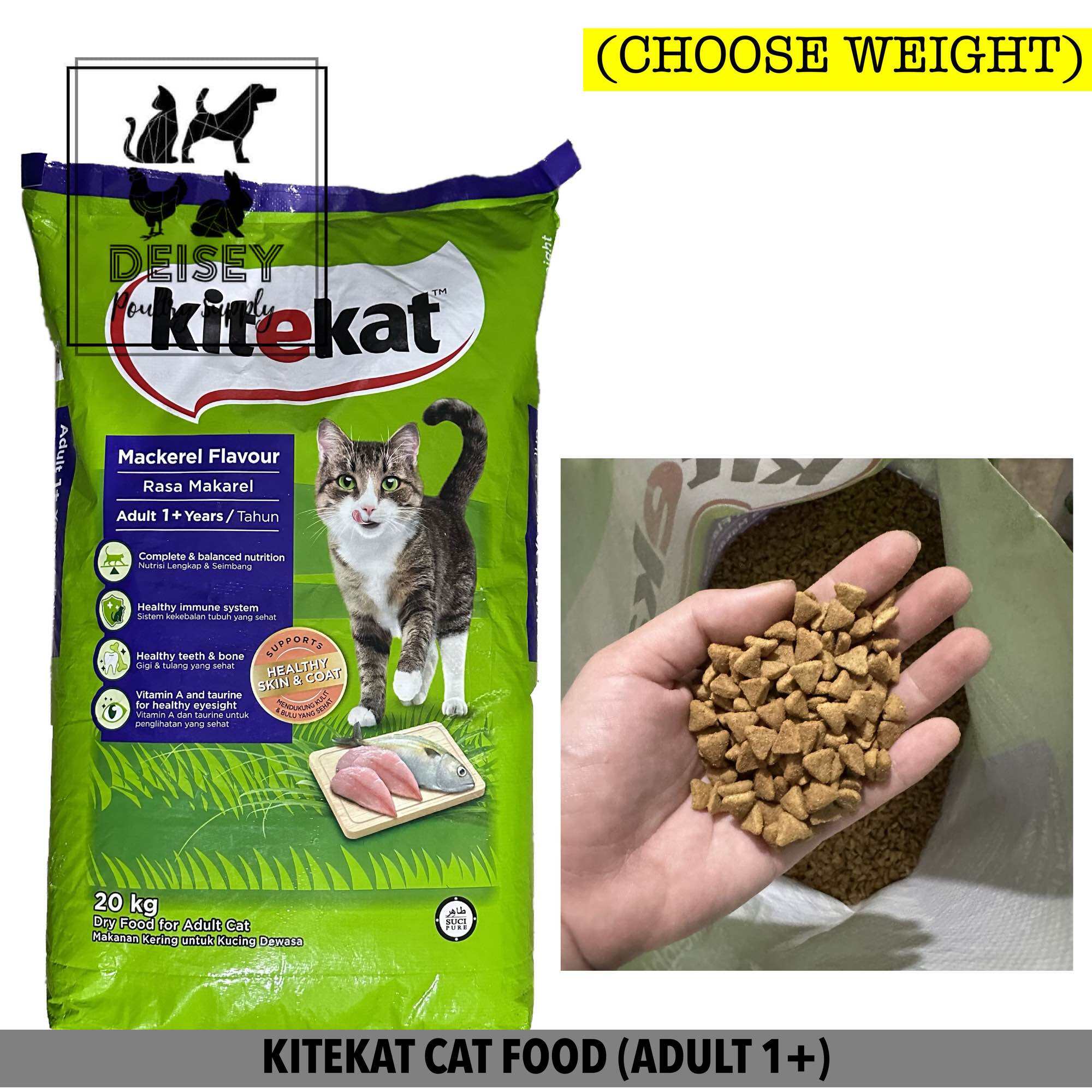 Kitekat dry hot sale cat food