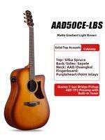 Ibanez | Beginner to Advanced Acoustic Guitar
