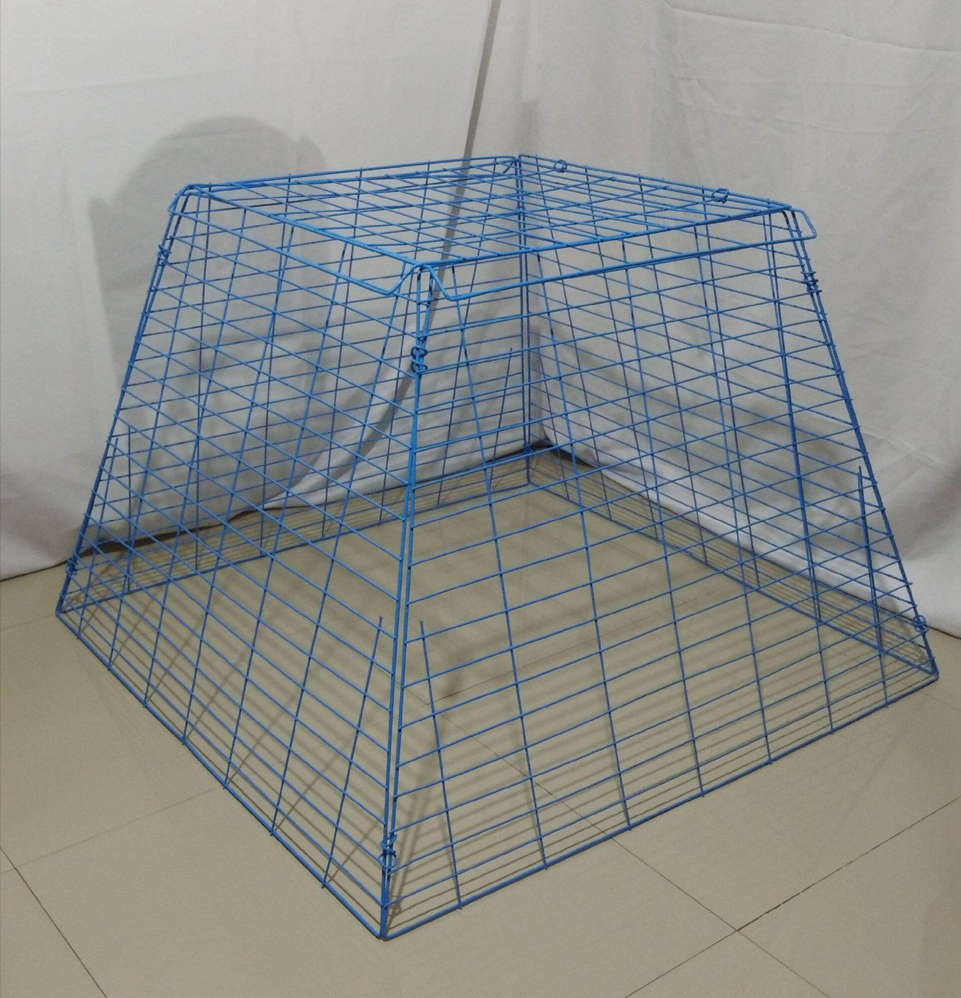 Scratch Pen (sky blue) 17 lines | Lazada PH