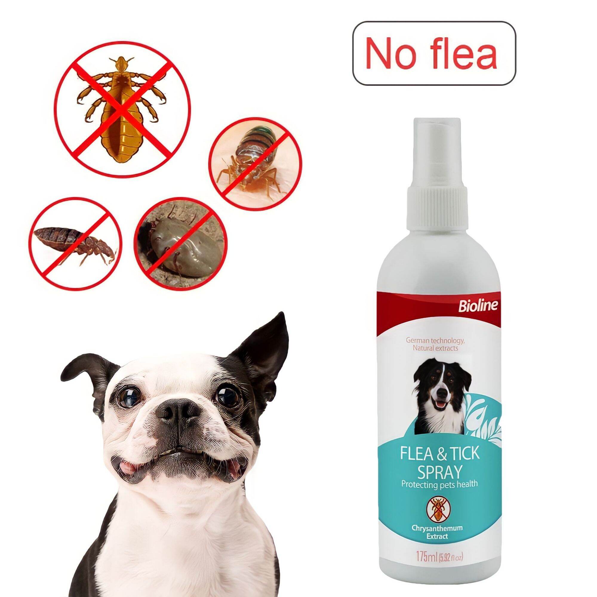 Bioline Flea and Tick Spray for Dogs 175ml Anti Mite, Lice and Flea and Tick Spray Lazada PH