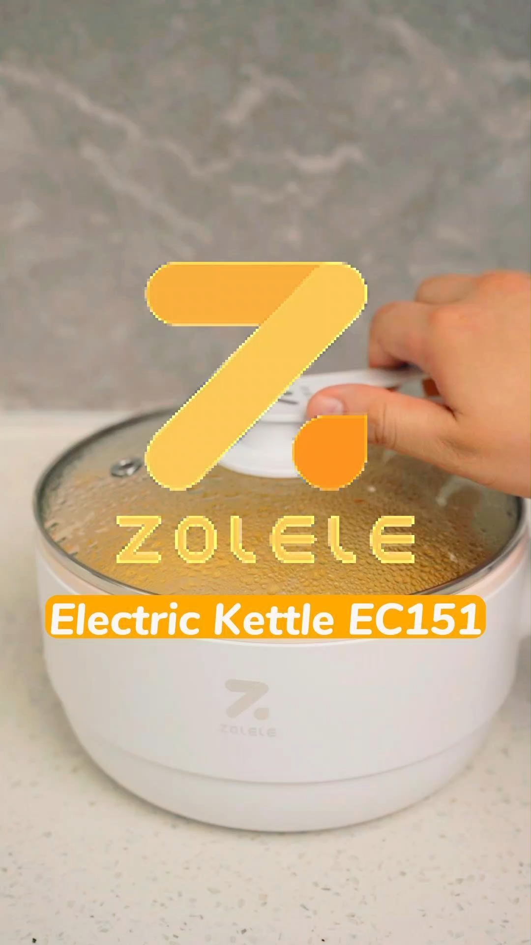 Multipurpose Electric Cooking Pot (Code: 10546) 