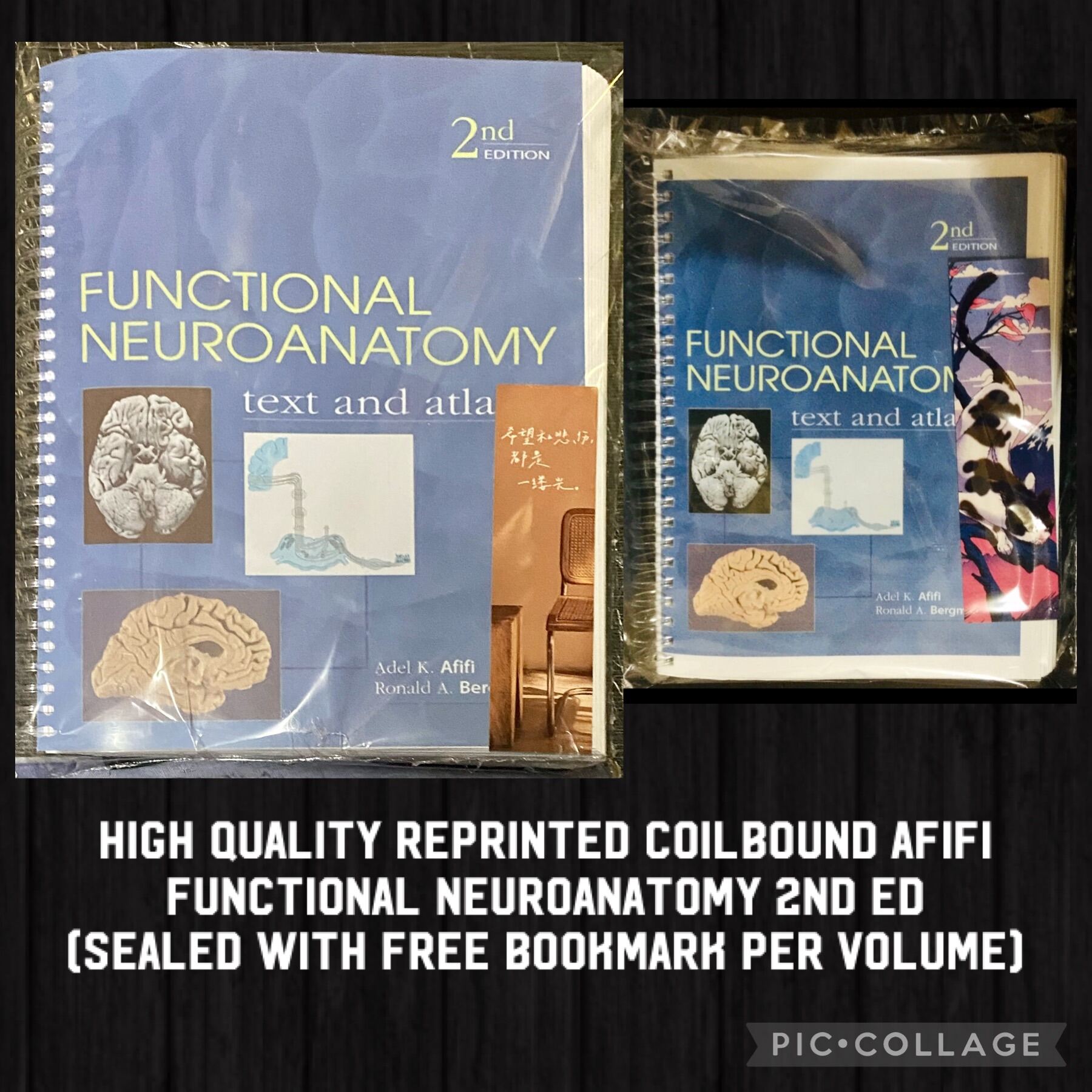 Afifi Functional Neuroanatomy 2nd Edition Neuroanat Textbook Lazada Ph