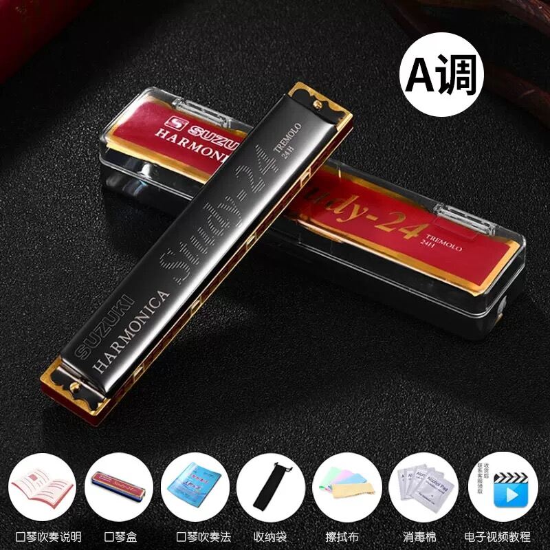 Japanese Suzuki Harmonica Authentic 24Hole Polyphonic Beginner Male