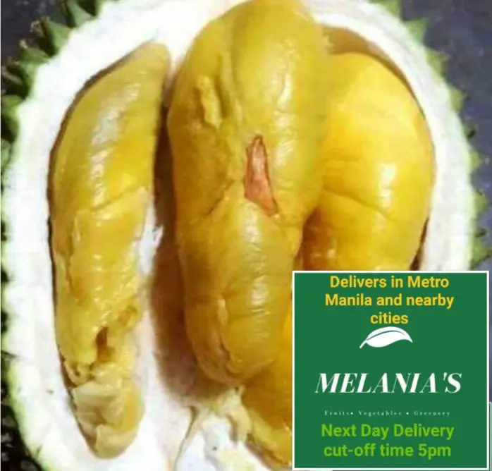 Durian 1 piece PUYAT PREMIUM QUALITY - Melania's Fruits, Vegetables, Cured Meat, Dried Seafood, Snacks Online Home Delivery — Chosen Ingredients, Freshly Delivered
