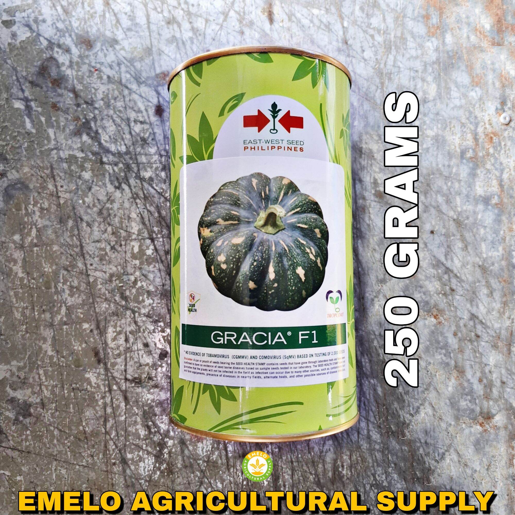 GRACIA F1 HYBRID PUMPKIN CALABASA SEEDS (250 GRAMS) KALABASA by