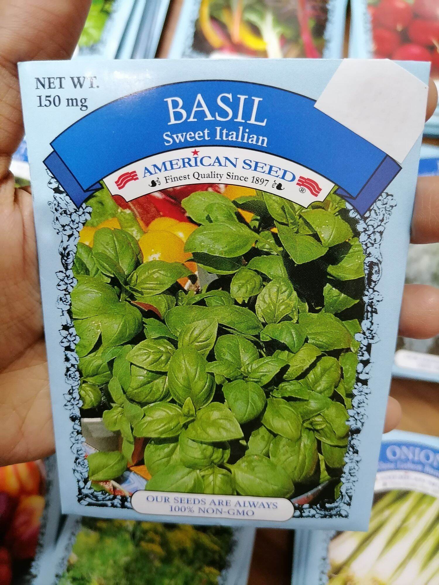 SWEET ITALIAN BASIL SEEDS Lazada PH