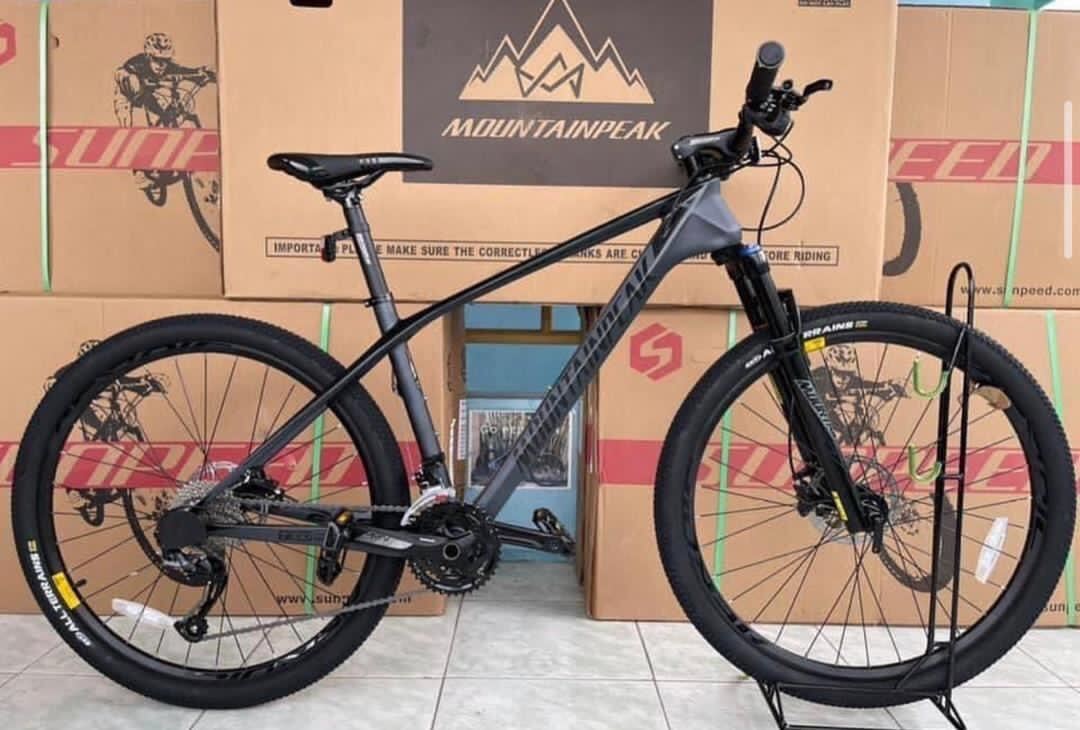 mountain peak bike manufacturer