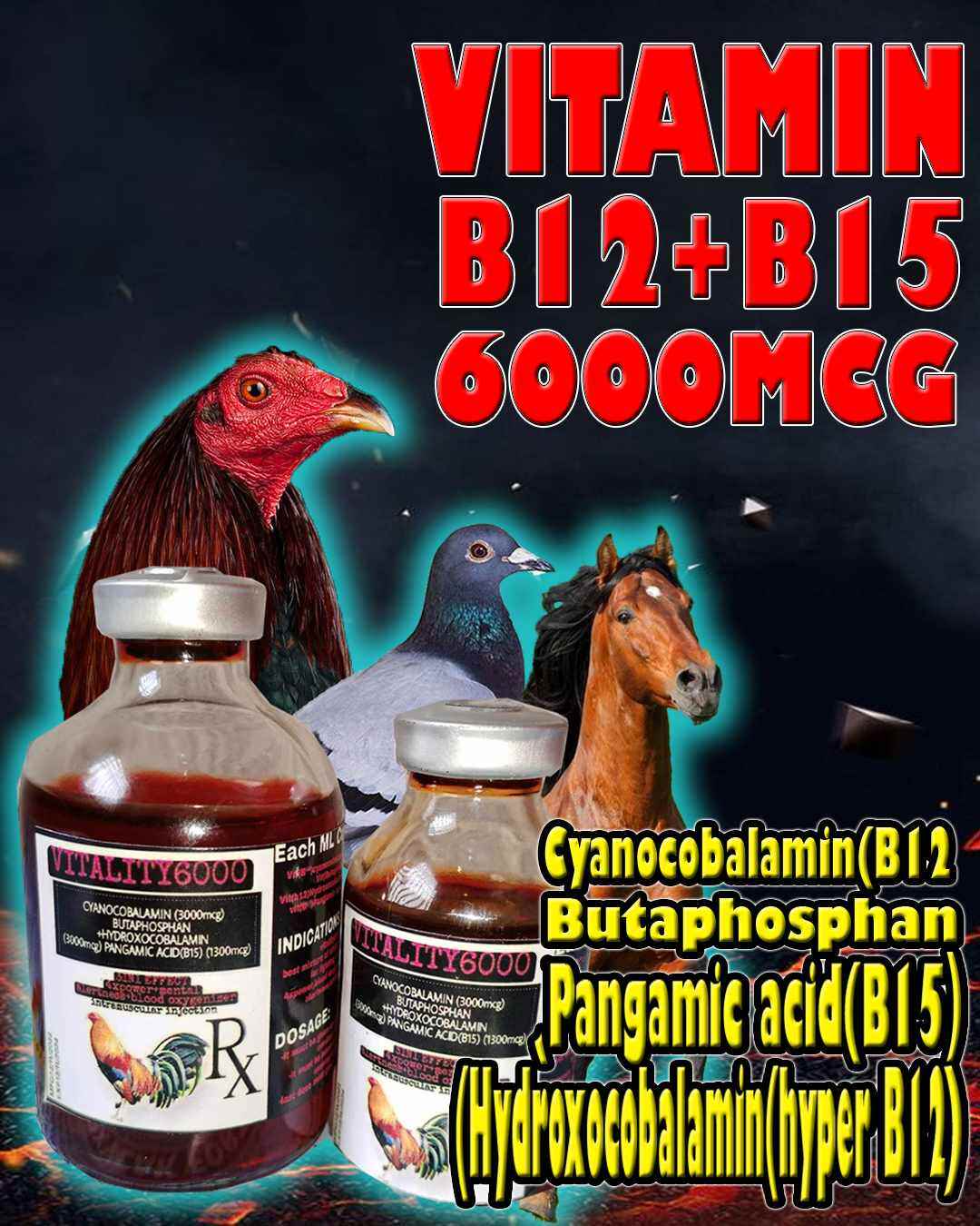 Get Chicken Vitamins Injectable at the Best Prices Online | Lazada Philippines Get Chicken Vitamins Injectable at the Best Prices Online | Lazada Philippines
