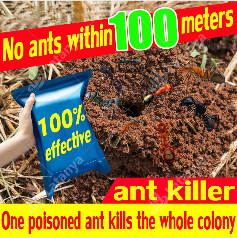 no ants for 10 years One infected whole nest died Effective Powder Ant Killing Bait Serial