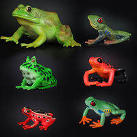 FANXIANG | Scientific Education Cold-Blooded Amphibian Model Toy