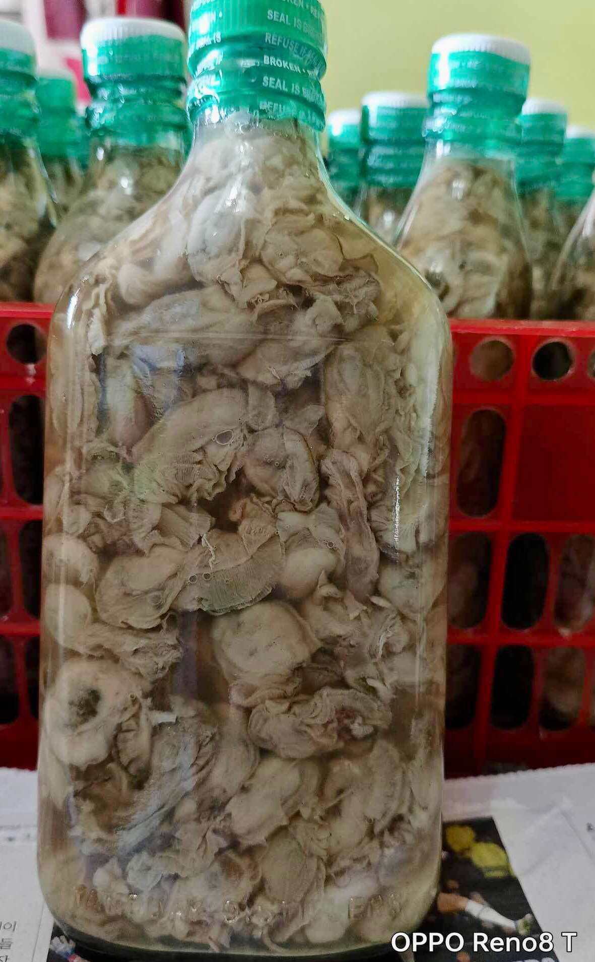 Ogil onasini sikadi (erotik seks video)