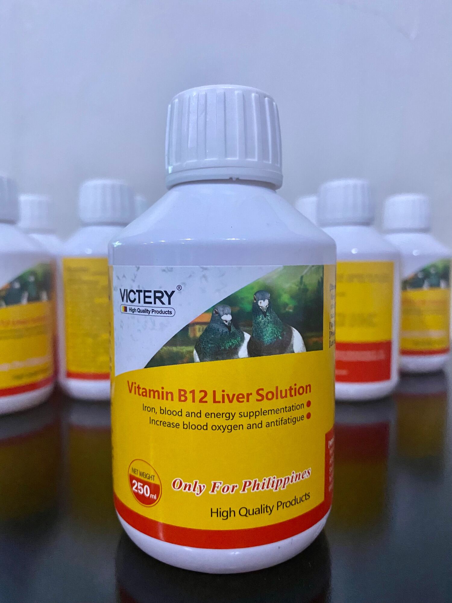 Victery B12 liver solution Lazada PH