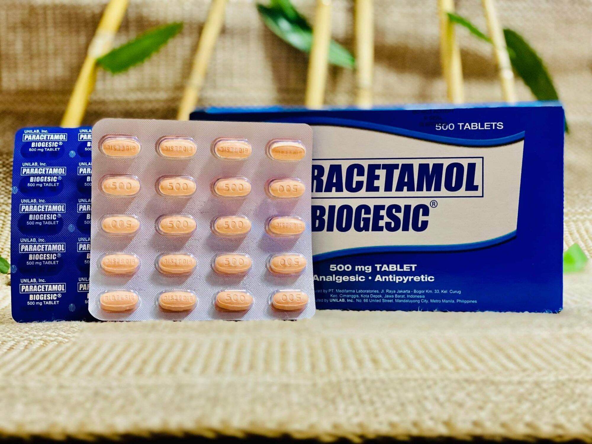 Biogesic 500mg Tablet 20pcs Lazada PH