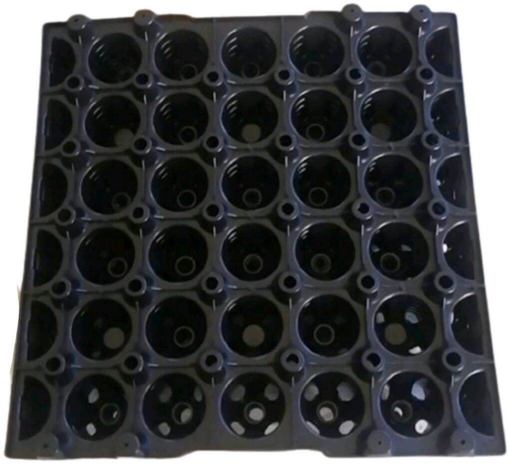 Moolah88 XLJUMBO Heavy Duty Plastic Egg Tray (Buy1 Take1)(P78 Only