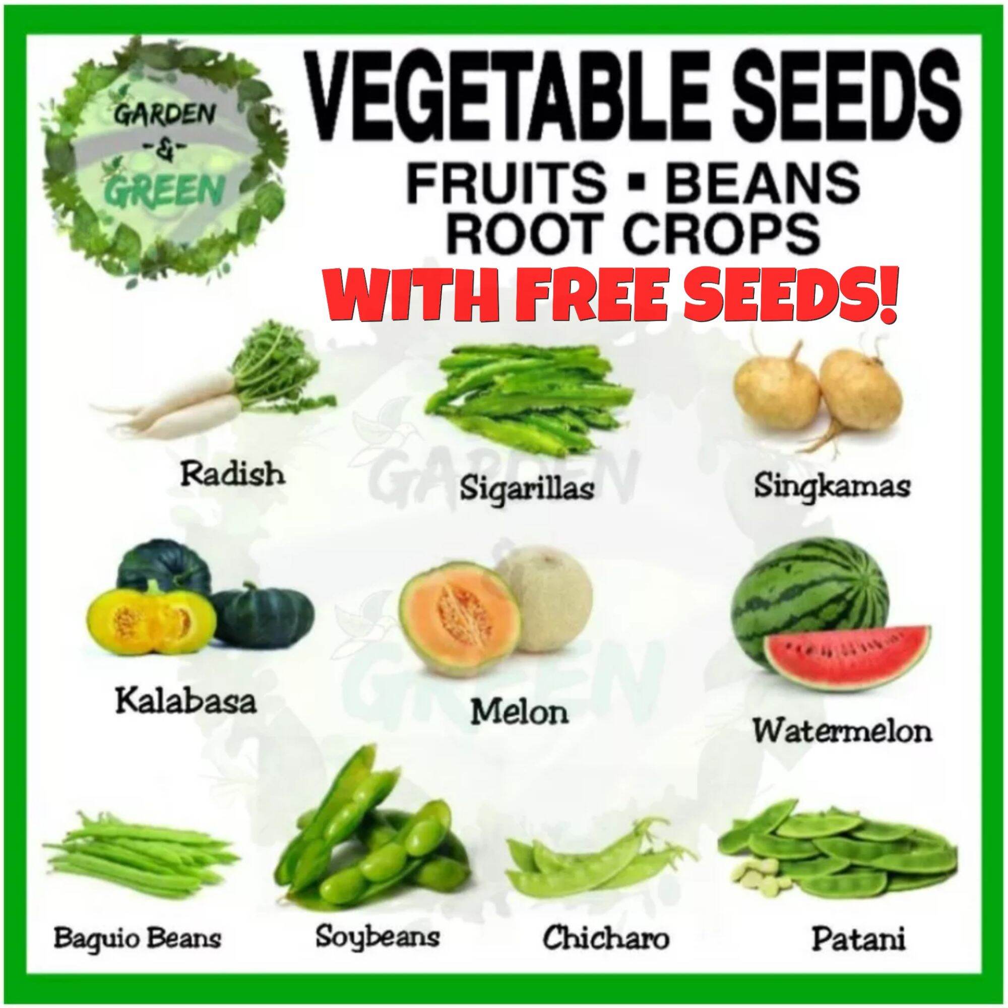 Vegetables seeds beans seeds fruit seeds squash watermelon sigarillas ...