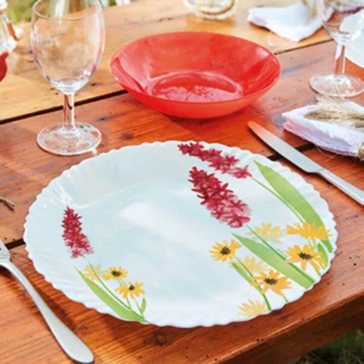 Dinner Plates Made In France