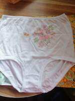 SOEN ORIGINAL (GP) FULL PANTY PIPING LEGS AUTHENTIC  BY6 Pack assorted print assorted embroidered borda