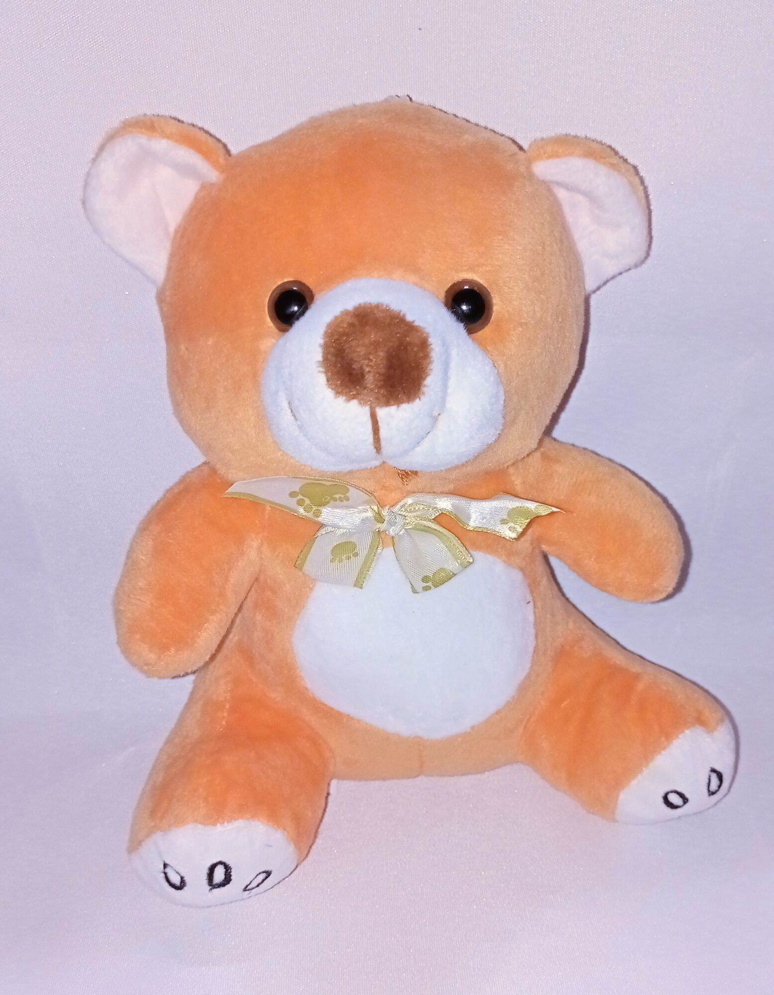 8 inch Teddy Bear Stuffed Toys Gift Lazada PH